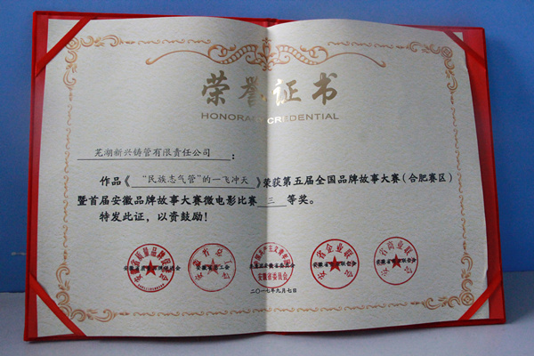 芜湖获奖.jpg