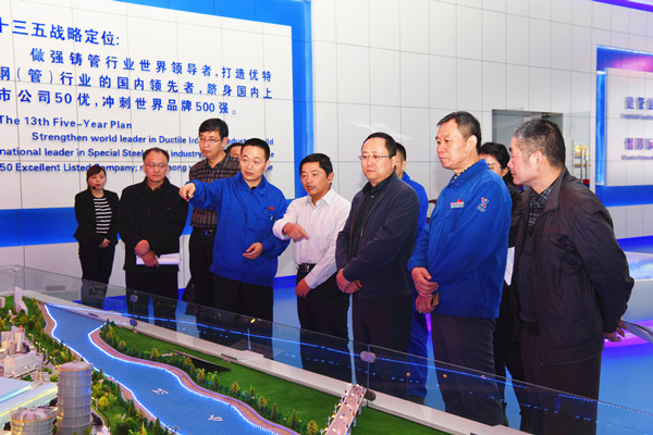 “江淮环保世纪行”到芜湖新兴调研采访_副本.jpg