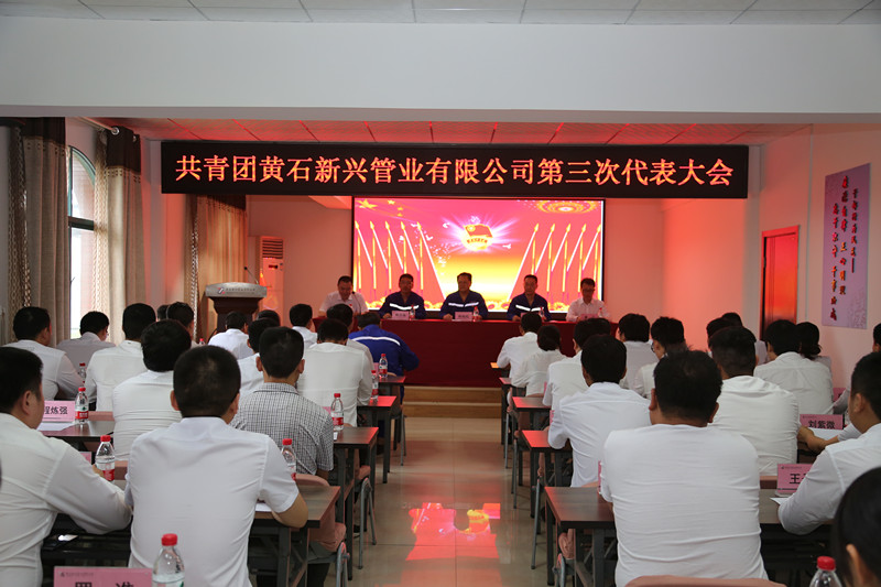 黄石新兴召开第三次团员代表大会.jpg