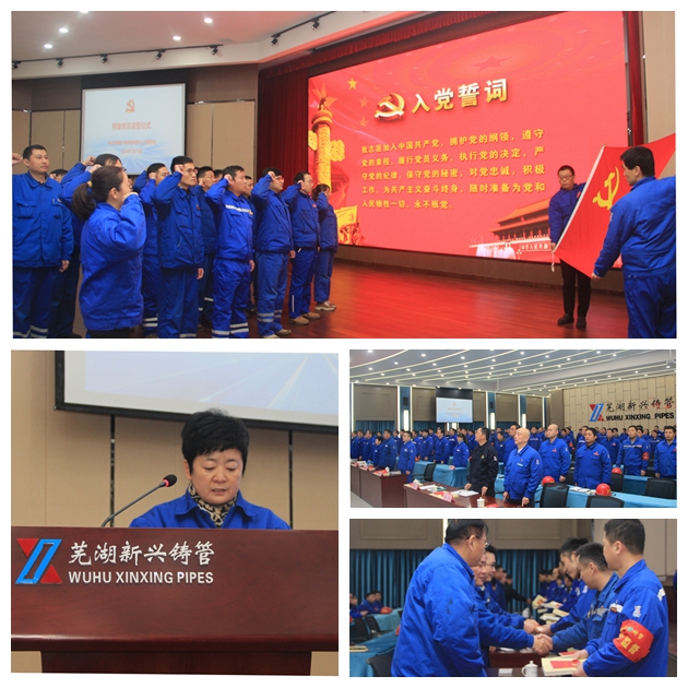 芜湖新兴党委举行预备党员入党宣誓仪式1.jpg